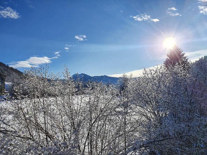 Ferienwohnung Hammer - Alpenblick
